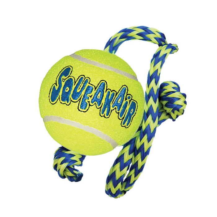 Kong tennis ball hotsell