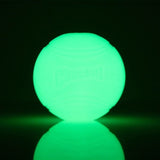 Chuck It Glowball - Lucky Paws Boutique